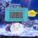 Fdit Aquarium Thermometer - Digital LCD Temperature Meter with Suction Cup for Accurate Diving Temperature Measurement - Buy Online on GoSupps.com