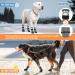 BEAUTYZOO Anti Slip Dog Socks Boots | Waterproof Grip Bottom | Paw Protector for Hardwood Floors | Adjustable Straps | Grey, Large - Buy Online on GoSupps.com