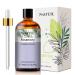 PHATOIL Rosemary Essential Oil 100ML Pure Premium Grade Rosemary Essential Oils for Diffuser Humidifier Aromatherapy Candle Making Rosemary 100 ml (Pack of 1)