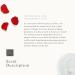 RITUALS The Ritual of Namast Hydrating Gel Cream Refill Collection 50 ml - Buy Online on GoSupps.com