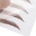 Long Lasting Waterproof Eyebrow Transfer Sticker for Women - BROWN-01 - Buy Online on GoSupps.com