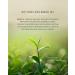 Tega Organic Sencha Green Tea With Japanese Matcha | Green Tea in Eco-Friendly Tea Bags Fairtrade Carbon Neutral Zero Sugar Medium Caffeine 20 Individually Wrapped Tea Bags (Pack of 3) Sencha Green Tea With Japanese Matcha 20 Count (Pack of 3) - Buy Online on GoSupps.com
