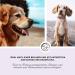 Annimally Probiotics for Dogs - 1.5 Billion KBE 120 Tablets for Healthy Gut & Diarrhea Relief - Boost Immune System - Buy Online on GoSupps.com