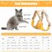 Premium Adjustable Cat Dishes - Break-Safe Design with Leash & Soft Chest Harness | Ideal for Kittens & Puppies - Buy Online on GoSupps.com