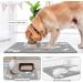 Buy Non-Slip Dog Bowl Underlay - Super Absorbent Quick-Drying Fodder Mats for Pets | 60x40cm Light Gray Cat & Dog Feeding Pad - Buy Online on GoSupps.com