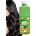 Foam hair dye Bubble Mousse shampoo natural hair mousse with plantbased dye formula unisex and sustainable 500 ml perfect for home travel hair treatment Brown Black - Buy Online on GoSupps.com