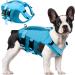 Buy Asenku Dog Life Vest - Adjustable Ripstop Floatation for Small Medium & Large Dogs | Reflective Handle for Boating Swimming Surfing - XL Blue - Buy Online on GoSupps.com