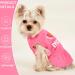 2-Pack Pink Dog Dress for Small Dogs - I Love My Mommy/Daddy Puppy Shirt Dress - Lightweight Summer Pet Outfit - Cat Apparel (Small Hot Pink) - Buy Online on GoSupps.com