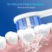 Sonicare Replacement Heads Compatible with Philips Sonicare - ForC2 ForC1 ForC3 Electric Toothbrush Brush Heads - Click-on/Snap-on KD-D1 - Buy Online on GoSupps.com