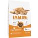 IAMS Dry Cat Food with Chicken for Cats Aged 1-6 Years | 10 kg - Premium Nutrition for Healthy Cats - Buy Online on GoSupps.com