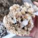 Room Decoration Natural Rough Crystalline Crystal Stone Zeolite Quartz Apophyllite Raw Rock Decorations Specimens Collection Bulk Raw Stones and Minerals (Size : 1.0-1.15kg) - Buy Online on GoSupps.com