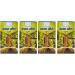 Balam Kheera Churan Ayurv dique 100 g (lot de 4)