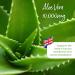 Healthspan Aloe Vera 10 000mg (180 Tablets) | Supports Normal Metabolism | 10 000mg Pure Aloe Vera Gel | Helps to Maintain a Normal Immune System | Added B Vitamins | Vegan - Buy Online on GoSupps.com