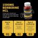 Nutravita Berberine Gummies with Ceylon Cinnamon 1500mg High Potency Berberine HCL Supplement for Immune and Metabolism Support Sugar Free Organic Berberine Gummies Strawberry Flavor-1PACK Strawberry 90 Count (Pack of 1) - Buy Online on GoSupps.com