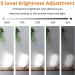 LASTAR Sun Light 10 000 LUX UV-Free Daylight Lamp with Memory Function 5 Adjustable Brightness Levels and 4 Timer Funtion Sunlight Lamp Compact Size for Winter Blues Wall Mountable Support Smart Plug Light White - Buy Online on GoSupps.com