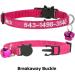 Personalized Cat Neck Bands with Bell - Custom Safety Buckle & Embroidered ID (Rose Red) - International Shipping Available - Buy Online on GoSupps.com