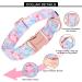 Unique Style Paws Summer Dog Collar - Blue College Design with Pink Flower - Perfect for Small to Large Dogs - Great Gift Idea! - Buy Online on GoSupps.com
