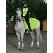 Eldorado Neon Yellow Reflector Gaiters - 4 Pieces for Ultimate Visibility | International Shipping Available - Buy Online on GoSupps.com