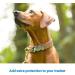 Tractive GPS Tracker Cover for Dogs - Camouflage | Durable & Stylish Protection for Pet Tracking - Buy Online on GoSupps.com