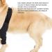 Dog Knee Brace Adjustable Dog Rear Leg Brace Soft Breathable Dog Knee Support Brace for Elderly Disabled Injured Dogs Both Back and Front Legs (S) - Buy Online on GoSupps.com