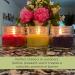 Natural Soy Candles Set of 3 - Lemongrass Lavender & Rosemary Sage - Essential Oils - Made in USA - Indoor/Outdoor Use - Buy Online on GoSupps.com