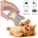 Dorakitten Catnip Toys for Indoor Cats - 5PCS Plush Chew Toys for Teething and Interactive Play | Catnip Filled Kitten Toy with Soft Material and Animal Shapes - Buy Online on GoSupps.com