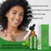 Rosemary Oil for Hair Growth & Skin Care Rosemary Oil for Hair Improve Hair Loss & Promote Hair Growth Strengthen & Nourish Follicles Daily Use Repair Dry Split End Care with Castor Oil Mint Oil - Buy Online on GoSupps.com