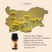 Essences Bulgaria Bio Immortelle Essential Oil 10ml | 100% Natural & Vegan | Undiluted Bio-Certified Helichrysum Italicum | Premium Quality | Family Business | International Shipping - Buy Online on GoSupps.com