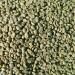 Organic Colombian Narino Supremo Green Coffee Beans - 2 lbs - Women Produced - Specialty Arabica - Fair Trade - Fresh Crop | Grand Parade Coffee - Buy Online on GoSupps.com