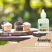 Baking Beauty and Beyond Concentrated Food Flavouring Oil - Dozen of Professional Quality Food Grade Flavouring Oil for Candy Making Baking Cooking Lip Balm and Lip Gloss - Cream Cheese (10ml) - Buy Online on GoSupps.com