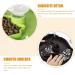 BEANPRECOY Reptile Water Dispenser Turtle Water Bowl 2 in 1 Reptile Automated Feeder Turtle Water Dispenser with Bottle for Turtles Hamsters Lizards Bearded Dragon Snake (Green) - Buy Online on GoSupps.com