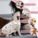 XXL Dog Surgical Recovery Suit | Soft & Breathable Onesie for Post-Op Dogs & Cats - Spay Castration Bodysuit - Buy Online on GoSupps.com