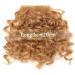 Bangs Hair Clip Synthetic Hair Bangs Afro Kinky Curly Bang For Black Woman Curly Fake Fringe Clips In Bangs Wig Hair Natural Soft Synthetic Fiber Hair accessories Fake Bangs for Women and Girls (Co - Buy Online on GoSupps.com