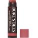 Burt's Bees Tinted Lip Balm Rose 0.15 oz (4.25 g)
