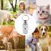 Personalized Address Pendants for Dogs & Cats - Waterproof Pet Accessories - 6 Pack Dog Collar Straps with Key Ring - Buy Online on GoSupps.com