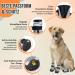 Slowton Dog Shoes - Breathable Paw Protection Boots with Non-Slip Sole & Adjustable Reflective Velcro - Ideal for Small Medium & Large Dogs - Size 6 (6.5 cm Width) - 2 Pieces - Buy Online on GoSupps.com