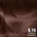 Garnier Olia permanent colouring and bleaching 5.15 Castano Fondente - Buy Online on GoSupps.com