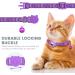 Buy Reflective Airtag Cat Collar with Holder & Bell - Safe Adjustable Design for Kittens & Puppies (Purple) | International Shipping Available - Buy Online on GoSupps.com