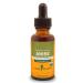 Herb Pharm Certified Organic Anise Liquid Extract for Digestive Support 1 Fl Oz (Pack of 1) 1 Fl Oz