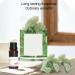 Buy Sonew 2-Piece Stone Essential Oil Diffuser - 20ml Flameless Aroma Diffuser | Maiden Lily of the Valley for Home Office & Bedroom - Buy Online on GoSupps.com