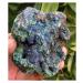 Natural Crystal Rough Azurite 350g Gem Blue Azurite Crystal Cluster&Green Malachite on Matrix Natural Rough Stone