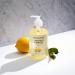 NatureWell Lemon Hand Soap - 100% Vegan, Essential Oils, No Dyes, Pack of 2 (17 Fl Oz) - Buy Online on GoSupps.com
