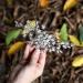 Jakawin Rhinestone Bride Wedding Hair Comb - Crystal Flower Bridal Accessory for Women and Girls - Buy Online on GoSupps.com