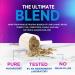 Mushroom Powder Supplement 2200mg - 11 in 1 Powder Blend - Organic Lions Mane Reishi Cordyceps Chaga Turkey Tail Mushroom Extract Supplement - Memory & Brain Support - Bottled in USA - 60 Servings - Buy Online on GoSupps.com