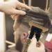 Professional Cordless Hair Clippers for Men - Rechargeable USB Adjustable Trimmer Set for Home Salon & Barbershop - Buy Online on GoSupps.com