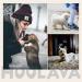 Hoolava Dog Winter Boots - Reflective Straps, Non-Slip Paw Protector for Small/Medium Dogs - Size 6 Yellow - Buy Online on GoSupps.com