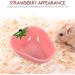 POPETPOP Ceramic Hamster Feeding Bowls Strawberry Pattern Hamster Food Bowl for Guinea Pig Rodent Rat Gerbil Cavy (random color) - Buy Online on GoSupps.com
