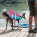 Queenmore Adjustable Dog Life Jacket - High Buoyancy Durable Rescue Handle - Small Medium Dogs (Peacock S) - Buy Online on GoSupps.com
