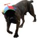 GEANBAYE Funny Propeller Dog Hat with Double Adjustment | Iridescent Pet Hat for Small, Medium, Large Dogs and Cats - Buy Online on GoSupps.com
