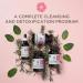 Garden of Life Wild Rose Herbal D-Tox 12-Day Kit | 4-Piece Detox Set - Buy Online on GoSupps.com